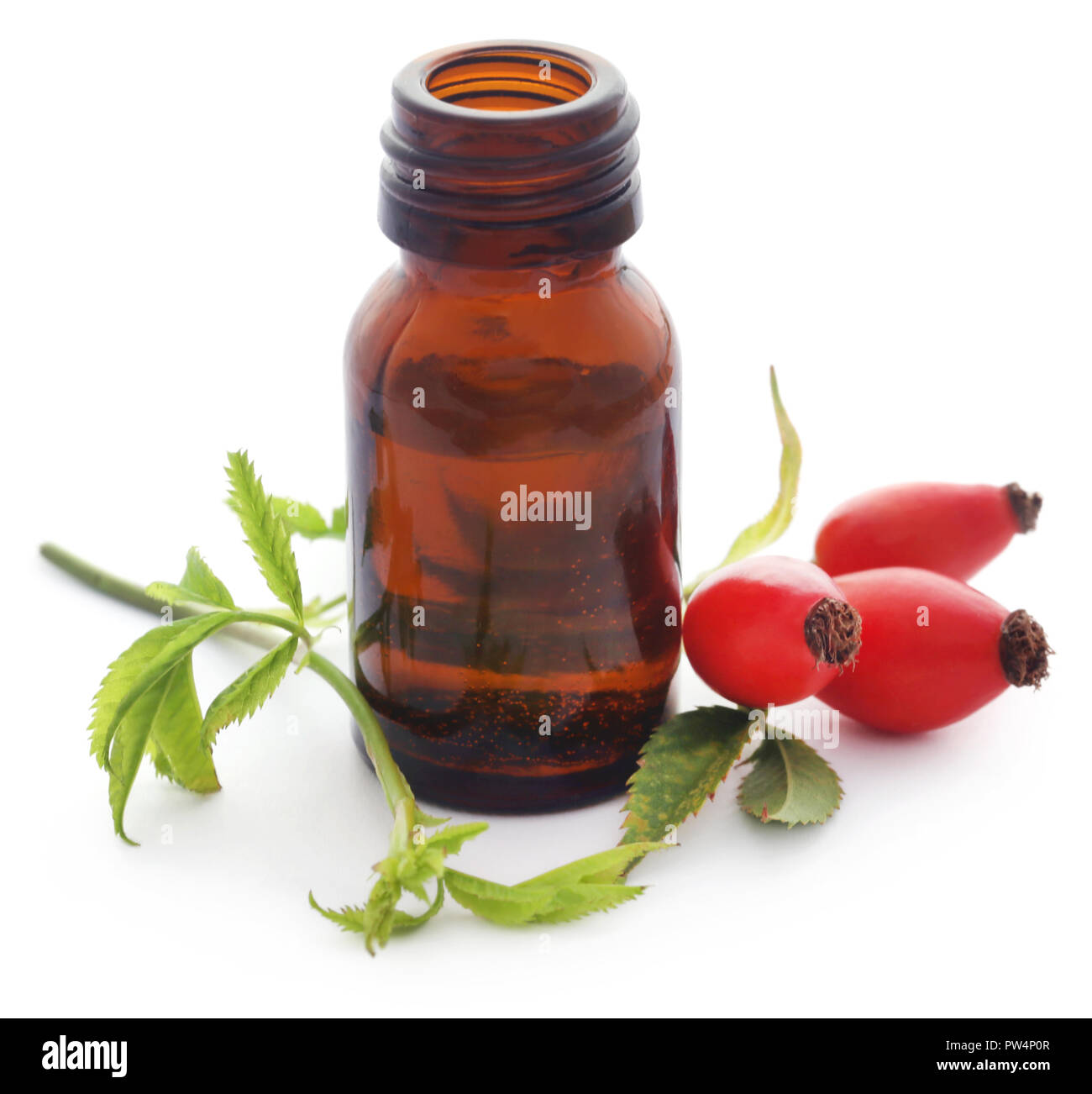 Medicinal Rose hips with essential oil in a glass bottle over white ...