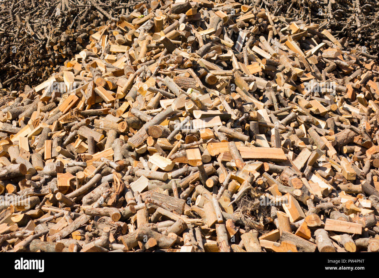 Punctured firewood in a pile against the background of a wood-burning barn Stock Photo