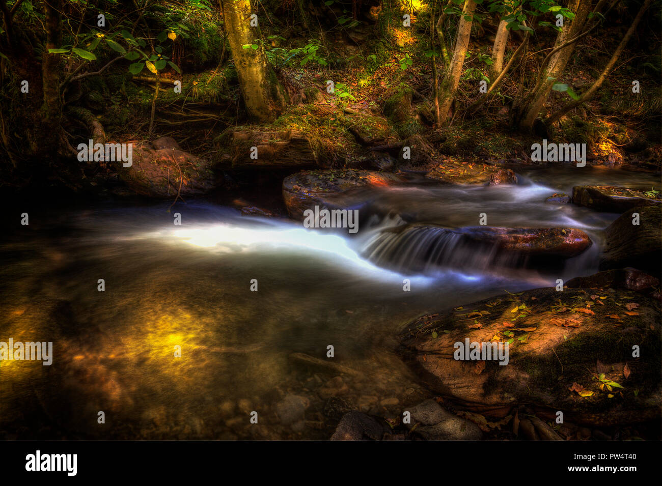 Melincourt Brook Stock Photo