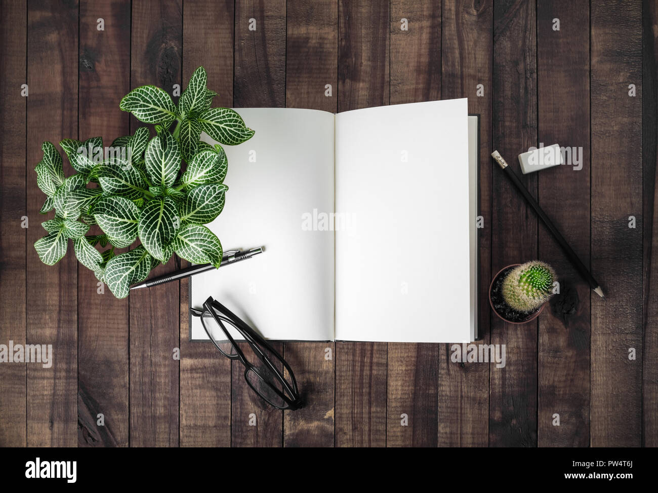 Blank open book, stationery and plants on wooden background. Flat lay. Stock Photo