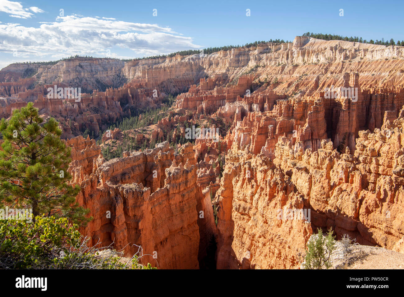 Bryce Canyon in Utah Stock Photo