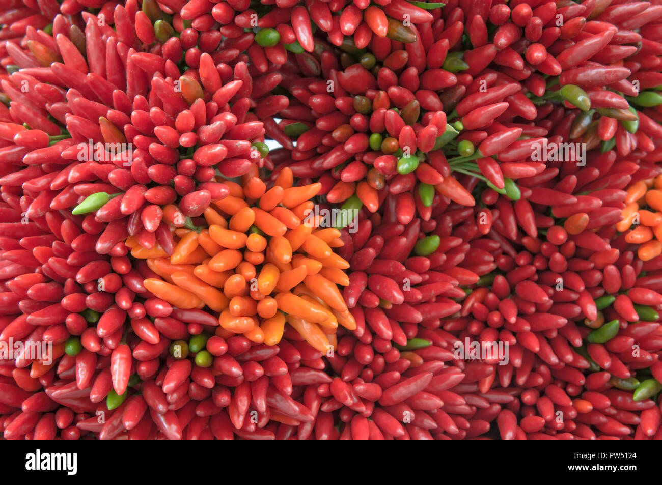 Orange thai chili peppers hi-res stock photography and images - Alamy