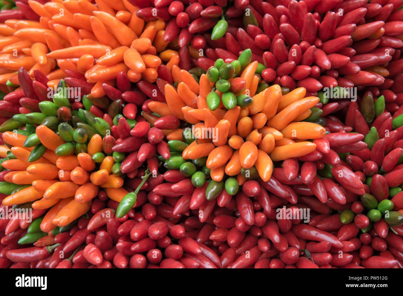 Orange thai chili peppers hi-res stock photography and images - Alamy