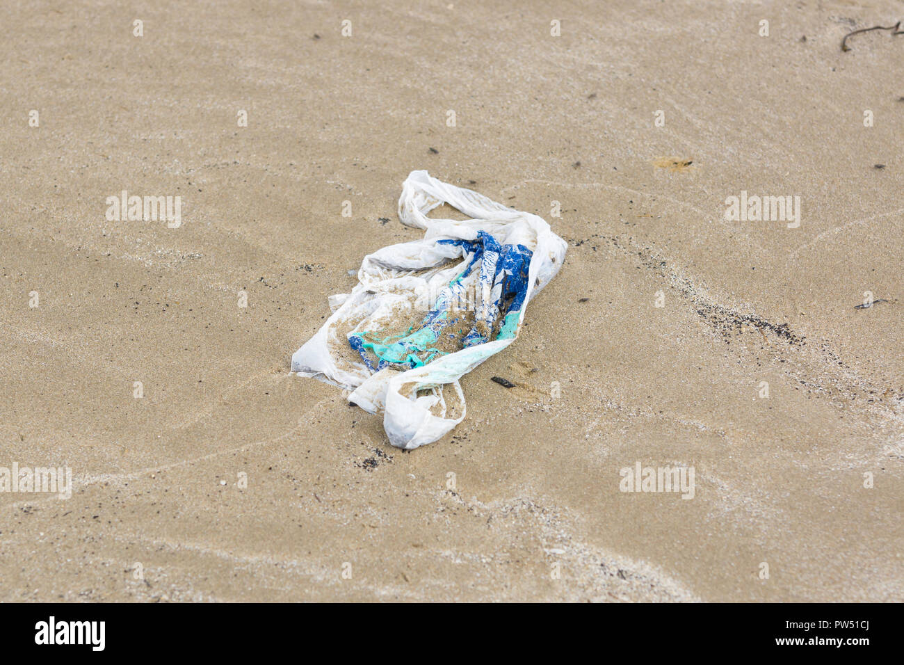 Single use plastic shopping bag washed up on a beach and part buried in the sand an example of the garbage in the oceans around the world Stock Photo