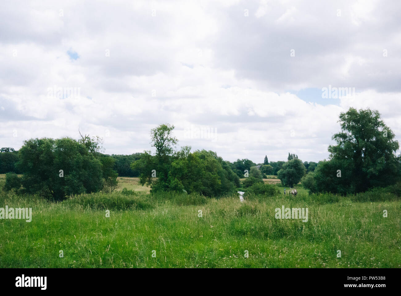 Grantchester meadows hi-res stock photography and images - Alamy