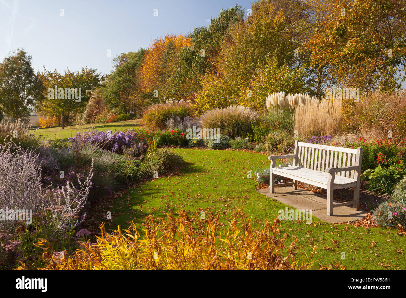 Brightwater Gardens, Saxby, Lincolnshire, UK. Autumn, October 2018. Stock Photo
