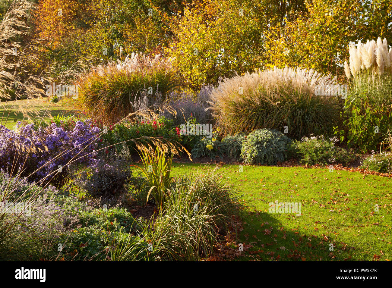 Brightwater Gardens, Saxby, Lincolnshire, UK. Autumn, October 2018. Stock Photo