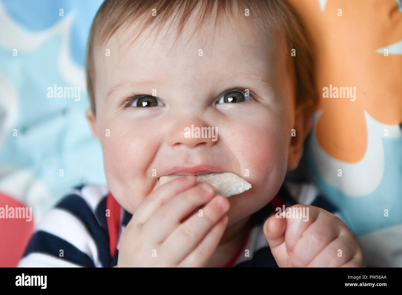 One year old Alexander James eats a banana wafer in a high chair Stock Photo