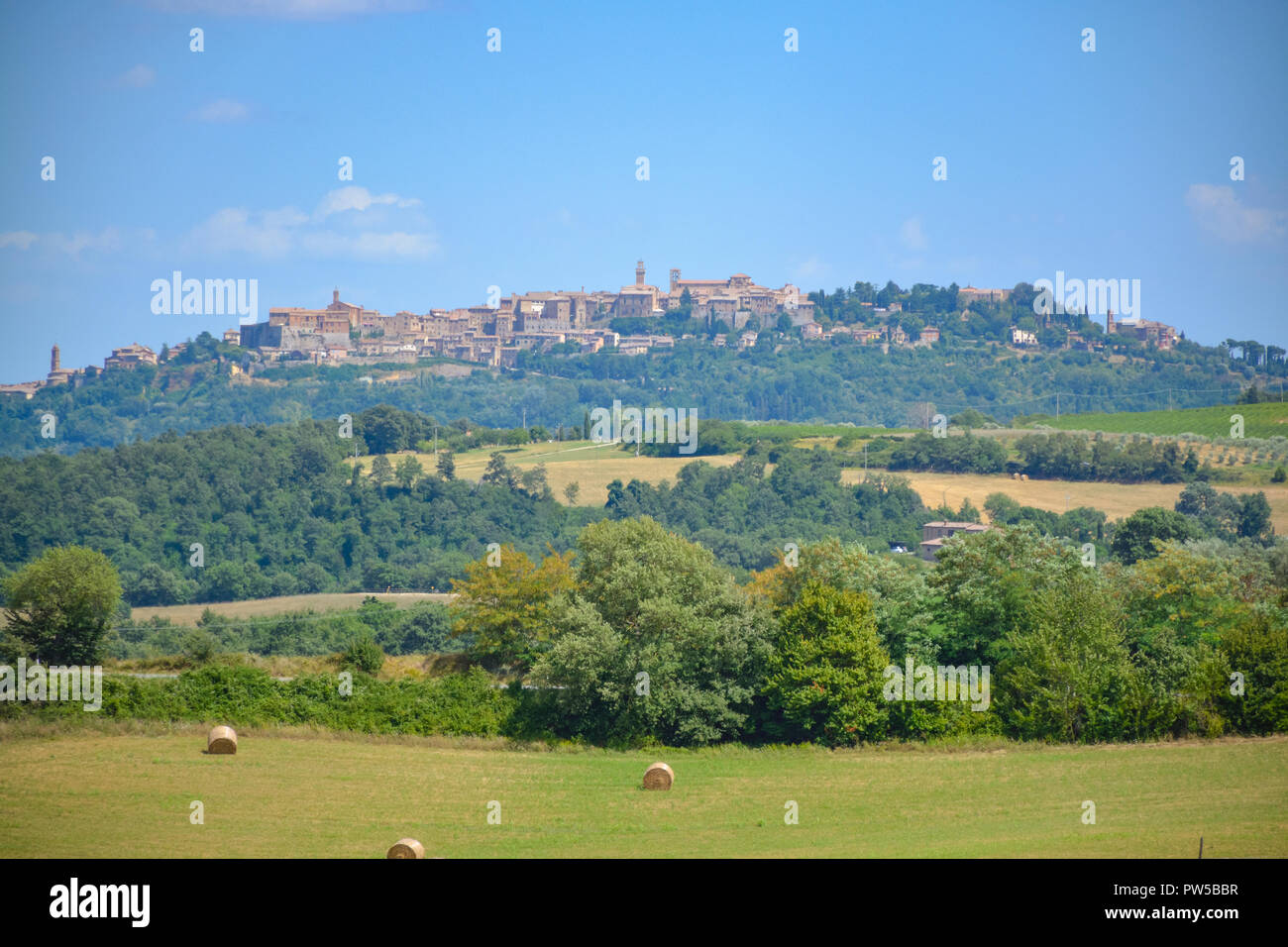 Tuscany panoramic landscape with green hills and vineyards Stock Photo ...