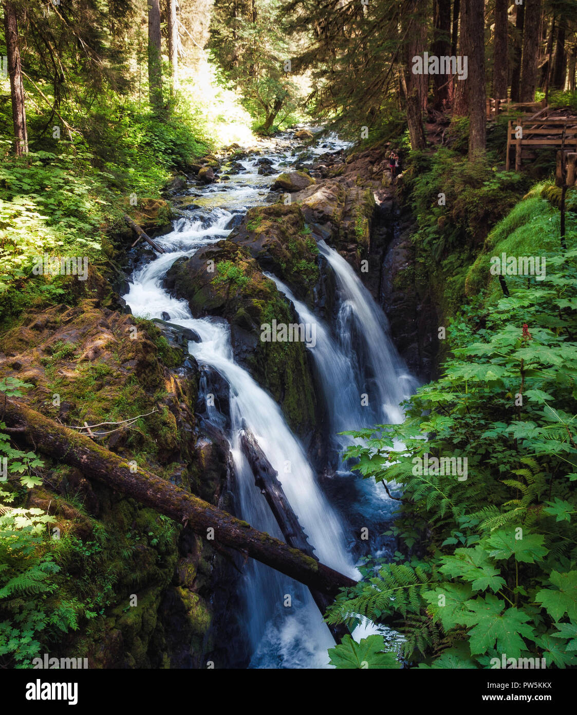 The amazing Sol Duc waterfall in the Olympic National Park, USA Stock Photo