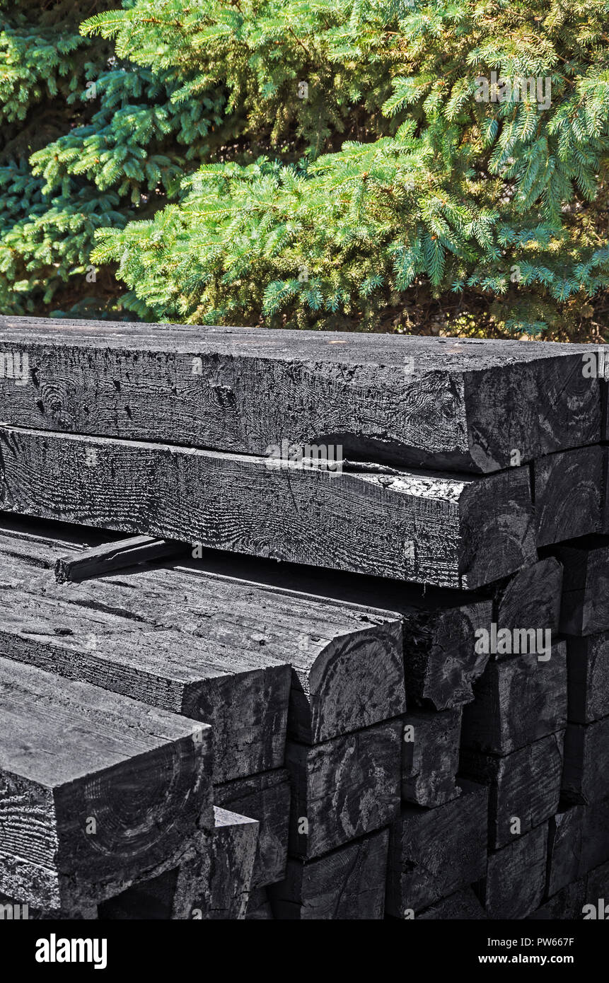 Set of new creosote impregnated wooden sleepers are stacked on each other against the background of green spruce. Transport infrastructure and railway Stock Photo