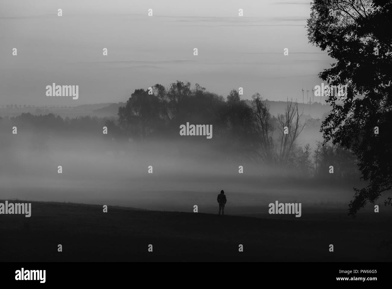 Solitude theme image with the silhouette of a man, standing, alone, in dense mist, in nature, in Germany. Black and white image. Stock Photo