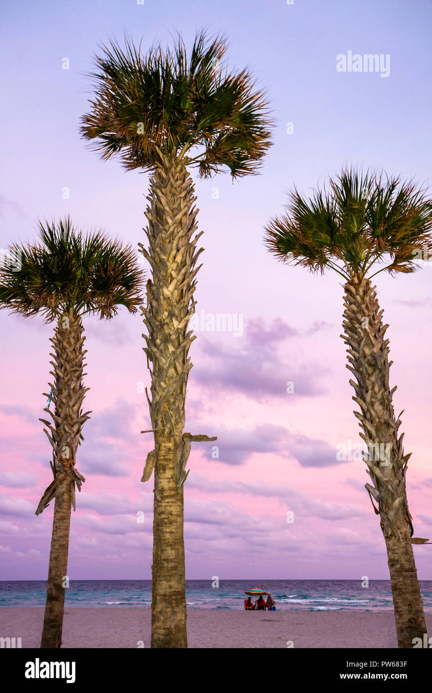 Hollywood Florida,Hollywood Beach Boardwalk,Atlantic Ocean,water,three,palm tree,beach ocean,dusk,evening,muted color,pink,sand,fronds,trunk,group,FL0 Stock Photo