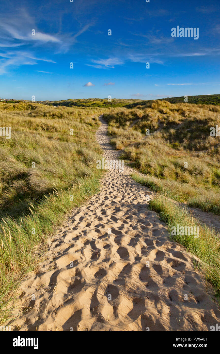 The South West Coast Path passes through sand dunes near Holywell Bay, Cornwall, UK. Stock Photo