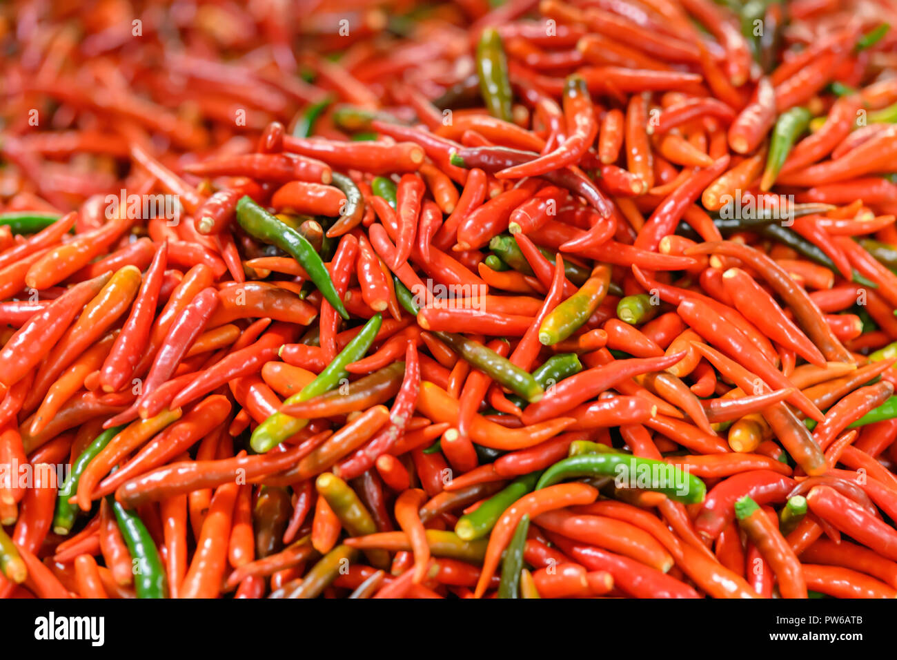Fresh thai chillies in a bangkok market hires stock photography and
