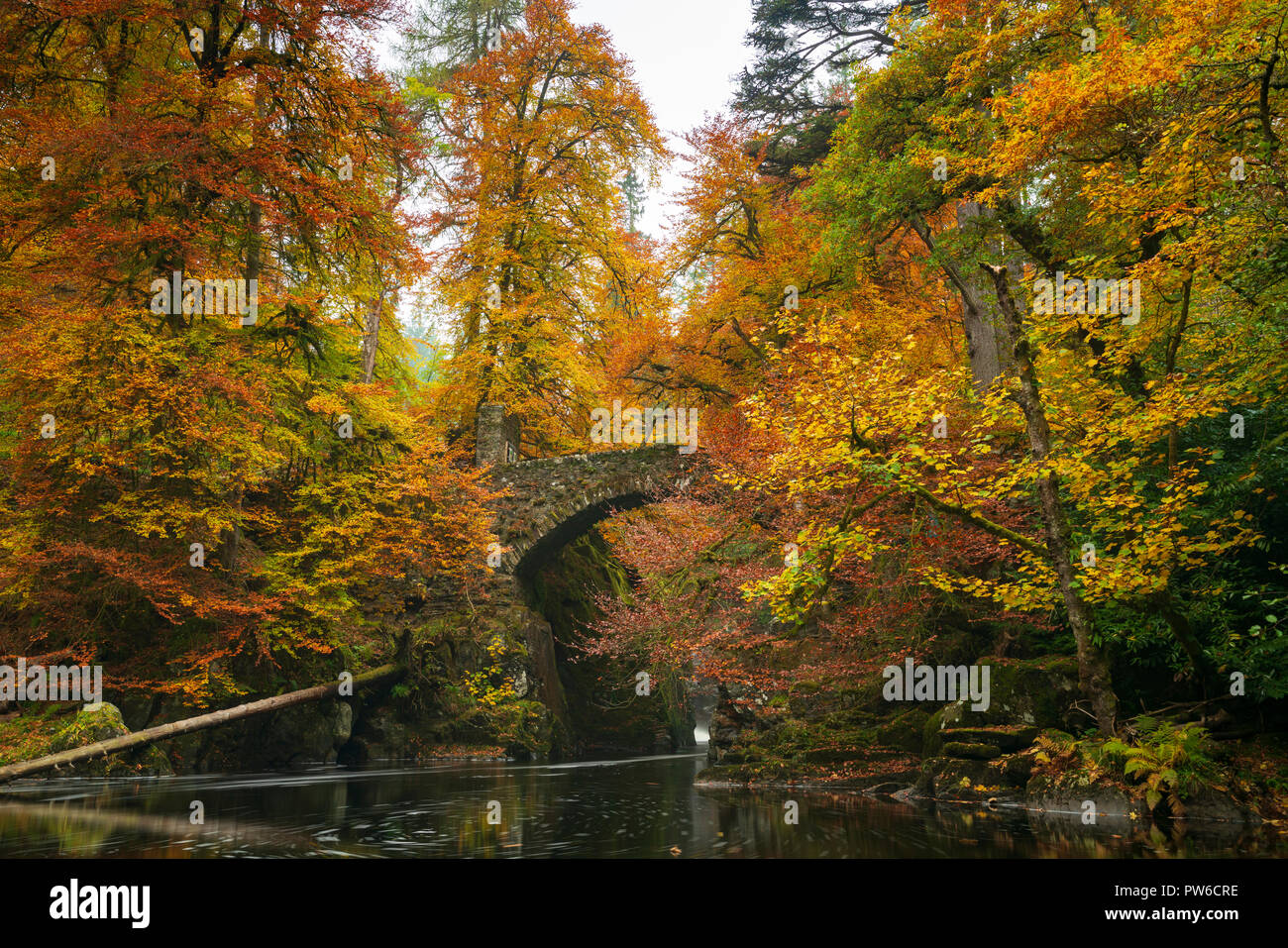 Spectacular Autumn Colours In The Trees At The Hermitage A Famous spectacular-autumn-colours-in-the-trees-at-the-hermitage-a-famous