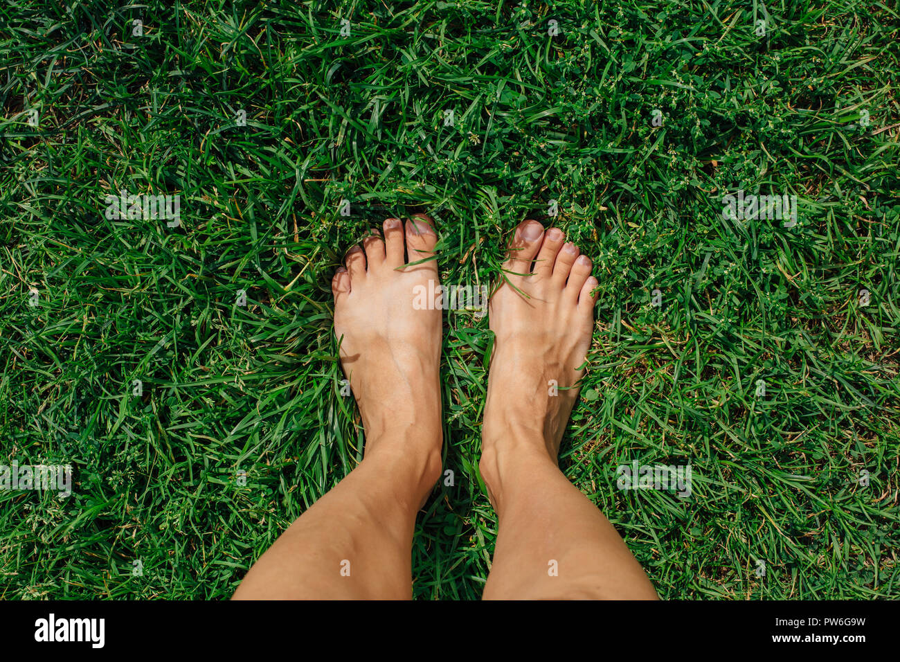 Bare woman's feet on the green grass Stock Photo - Alamy
