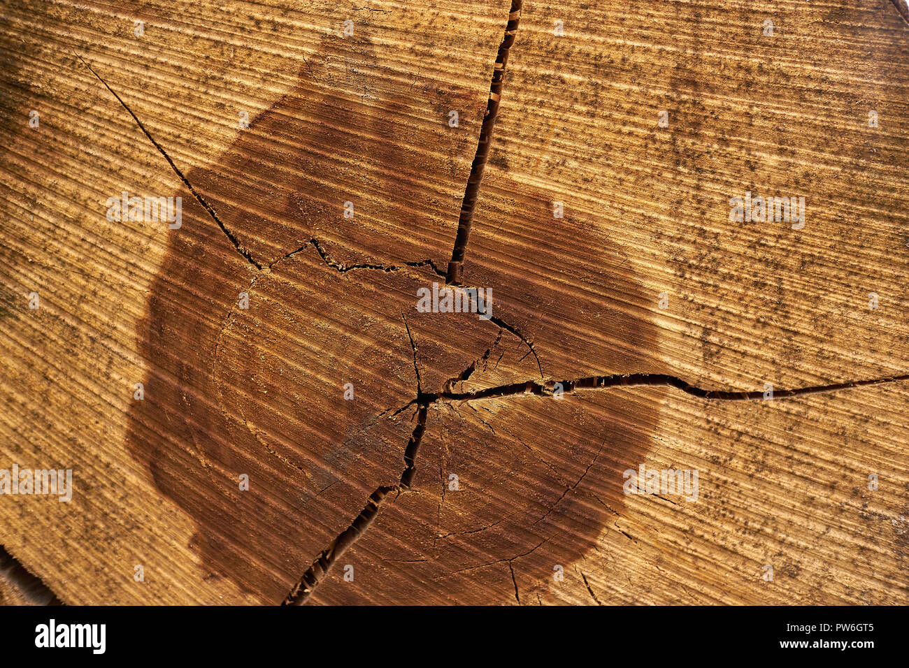 Core logging hi-res stock photography and images - Alamy