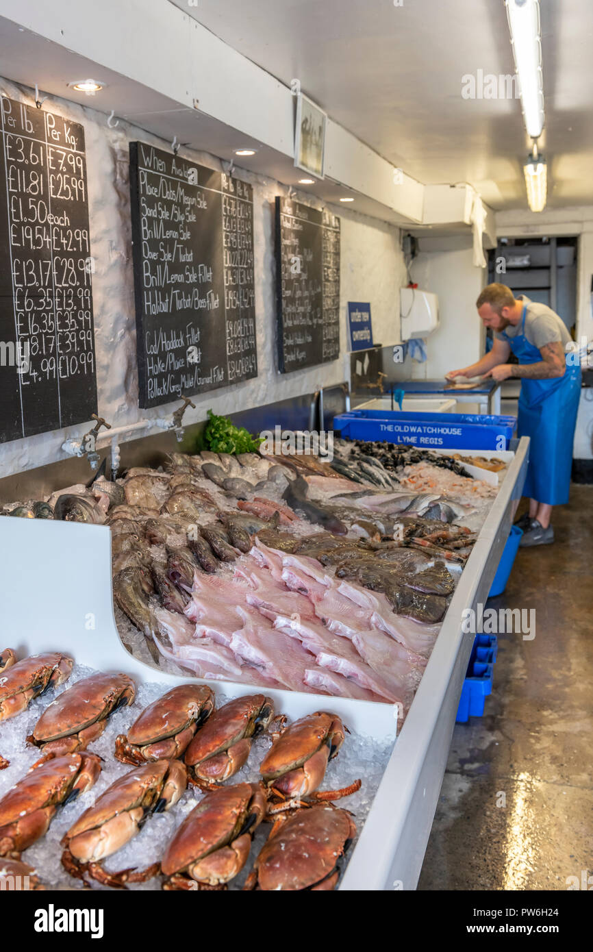 Tucked away in one of the small streets away from the seafront at Lyme Regis in Dorset is a fishmonger selling wonderful fresh produce from the local  Stock Photo