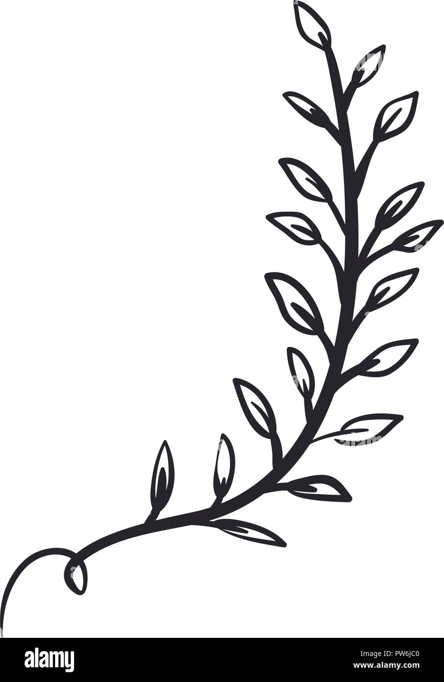 beautiful leaf plant isolated icon Stock Vector Image & Art - Alamy