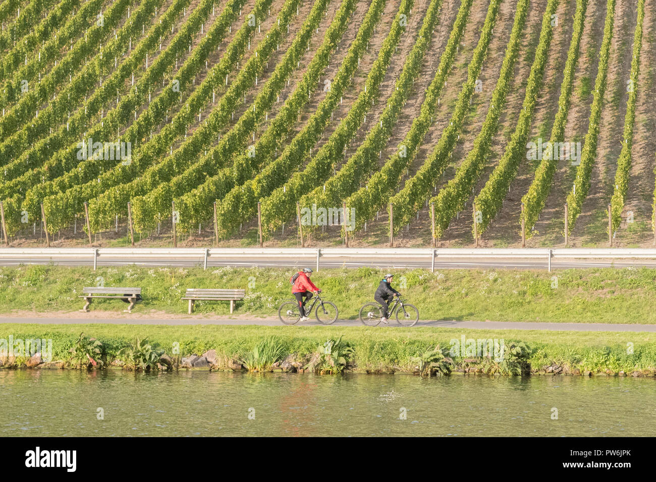 cycling in the Moselle Valley, Germany Stock Photo