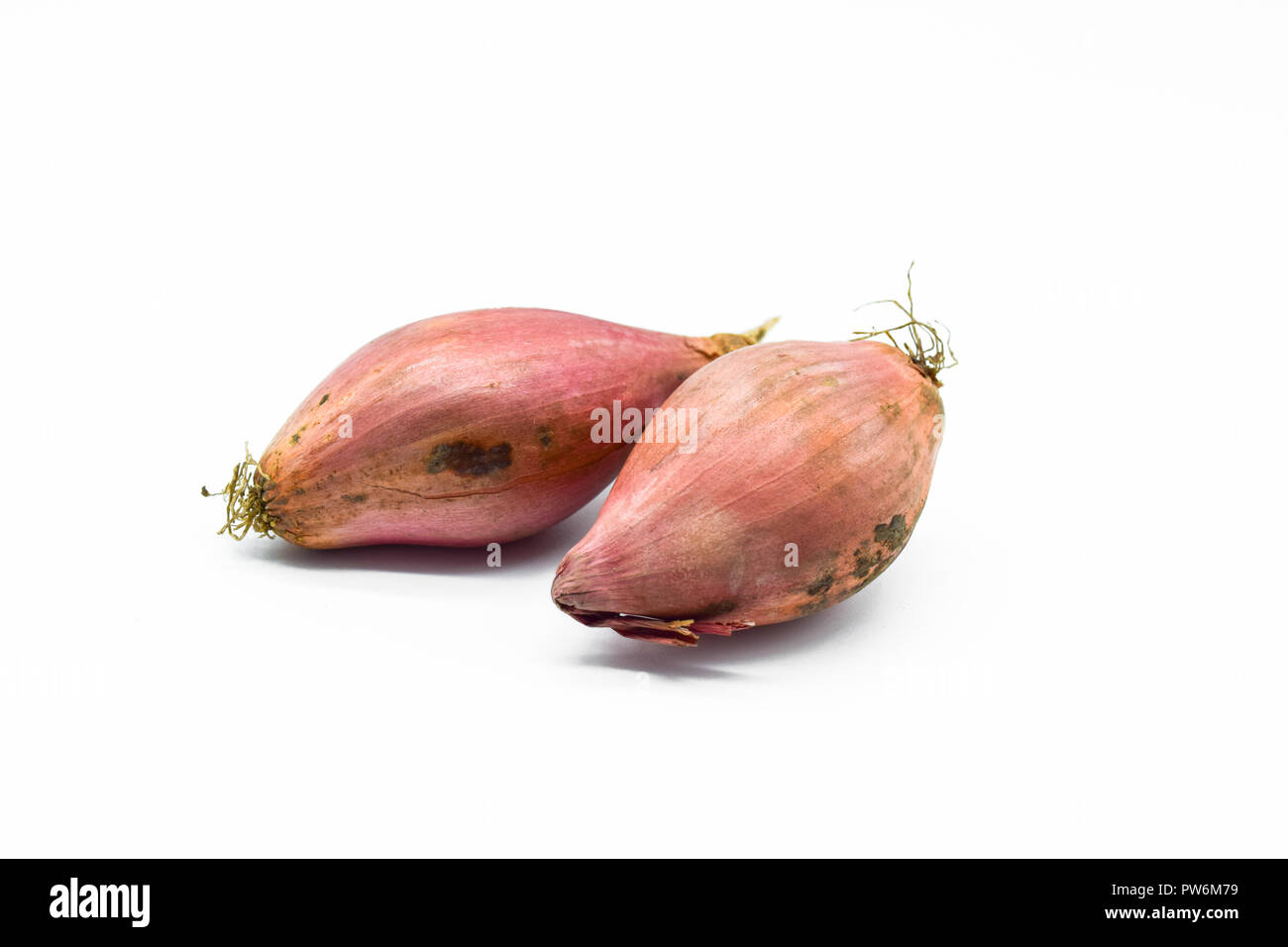 Shallot onions isolated on white background Stock Photo