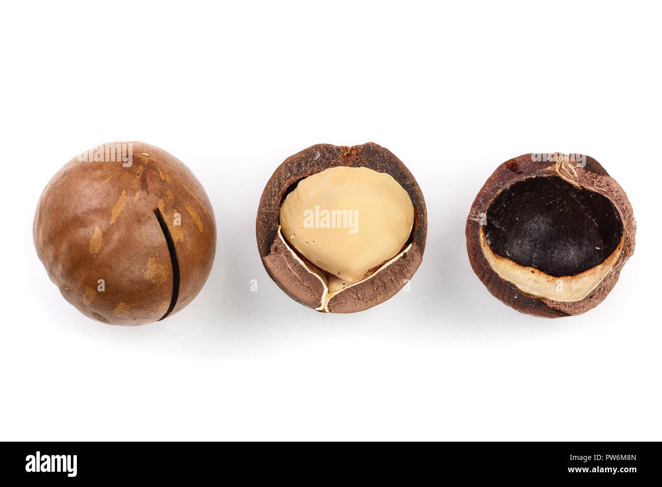 Shelled and unshelled macadamia nuts isolated on white background. Top ...