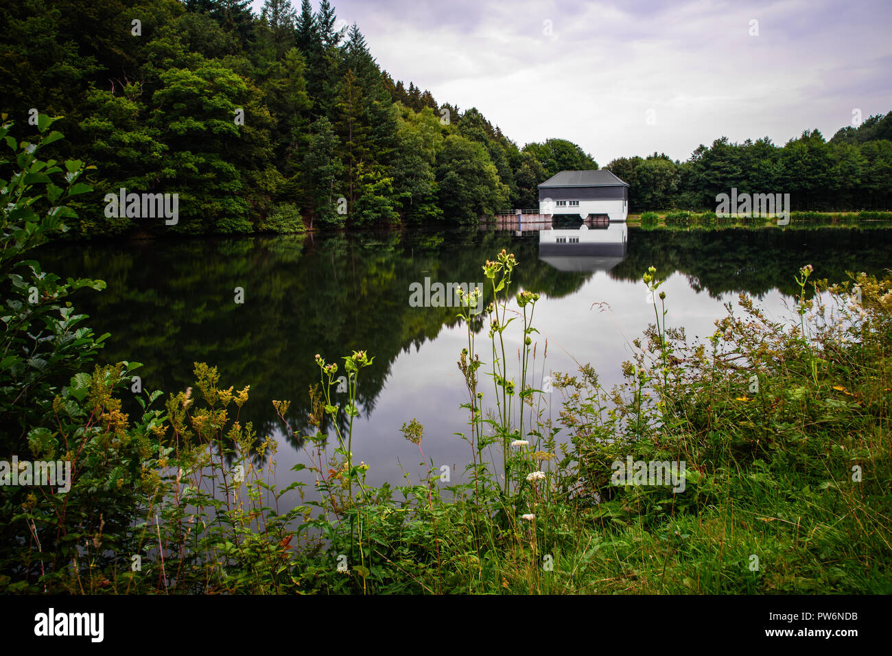 Waldsee Stock Photos Waldsee Stock Images Alamy