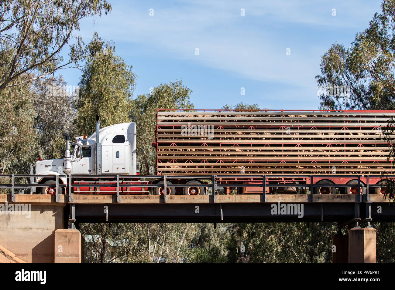 Sheep transport truck hires stock photography and images Alamy