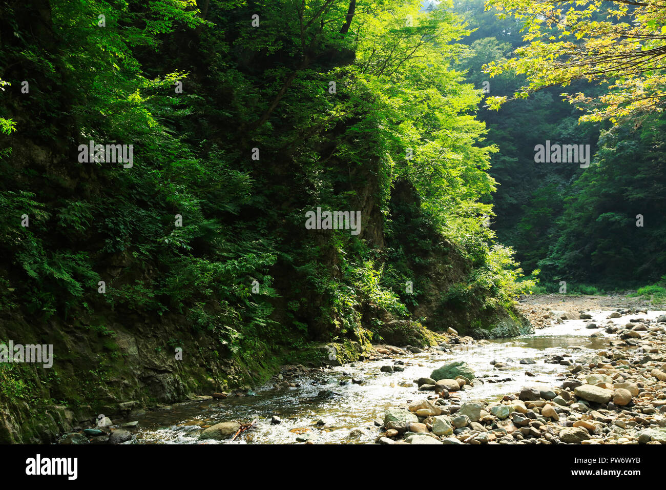 Shirakami mountain hires stock photography and images Alamy