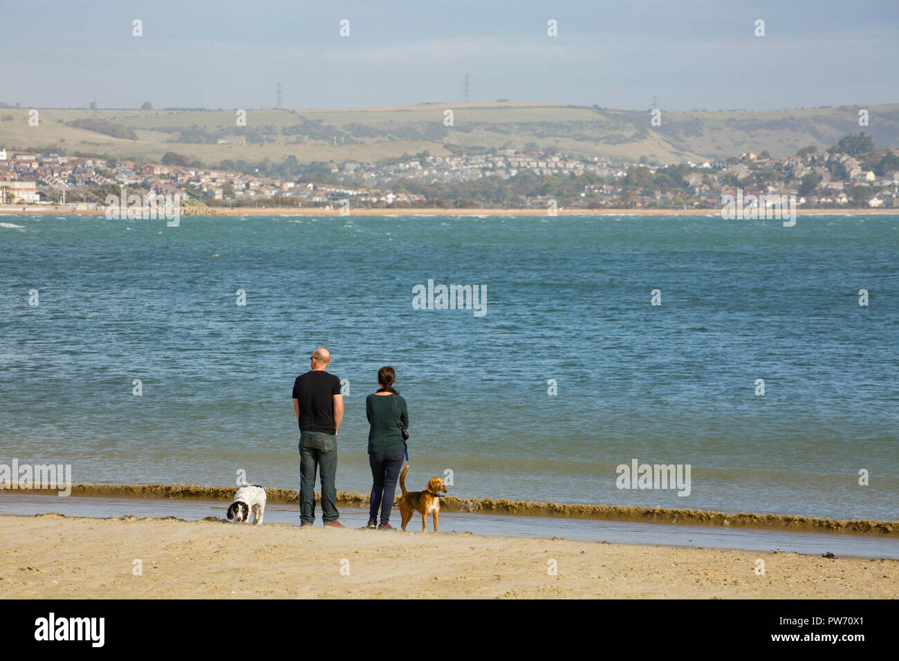 Two people with dogs sheltered from the wind on Weymouth beach during Storm Callum. Weymouth Dorset England UK GB 13.10.2018 Stock Photo