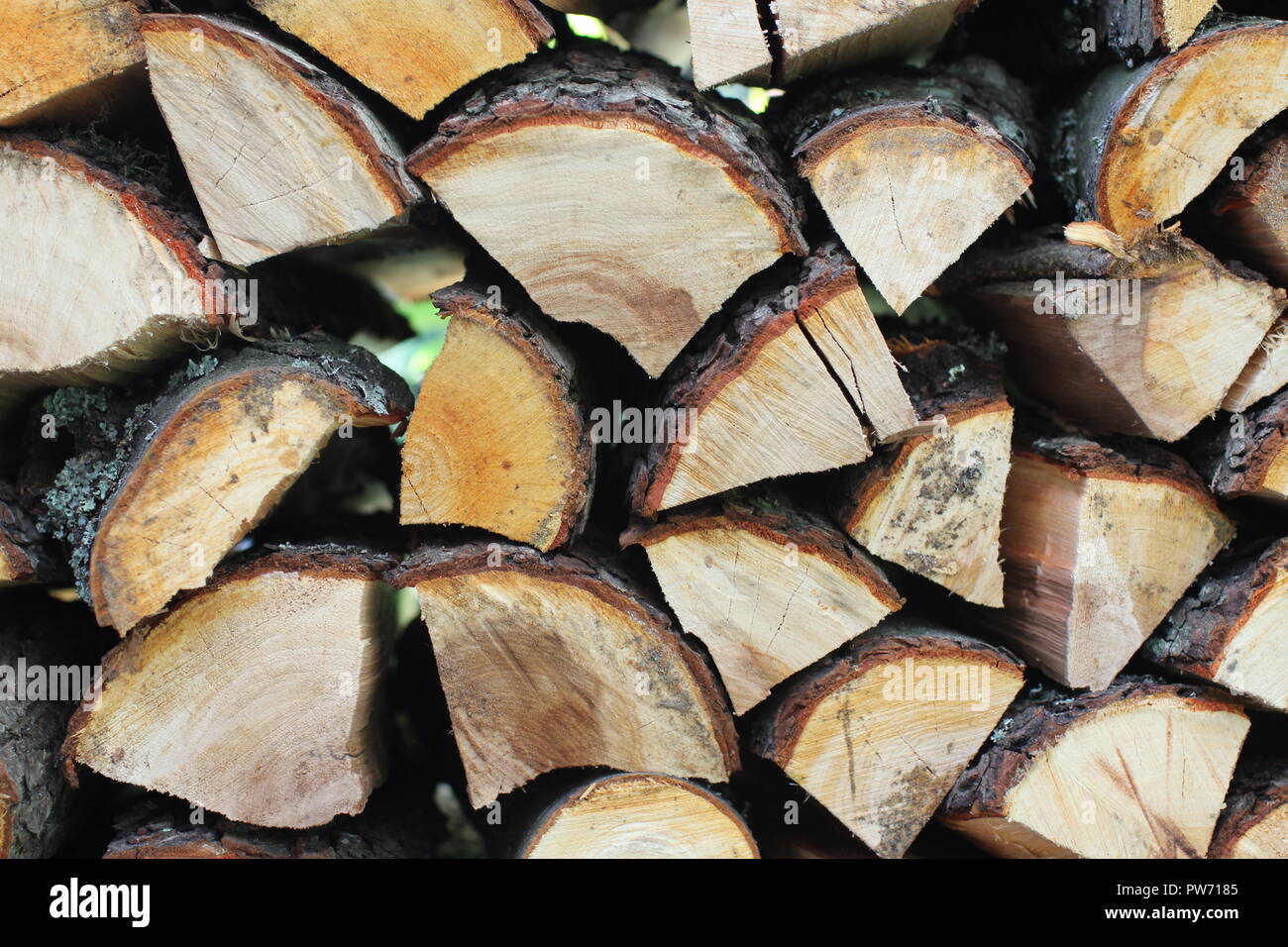 Chopped and stacked firewood  background Stock Photo