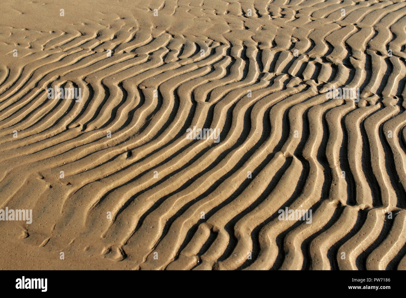 beach Sand wavy pattern abstract background Stock Photo