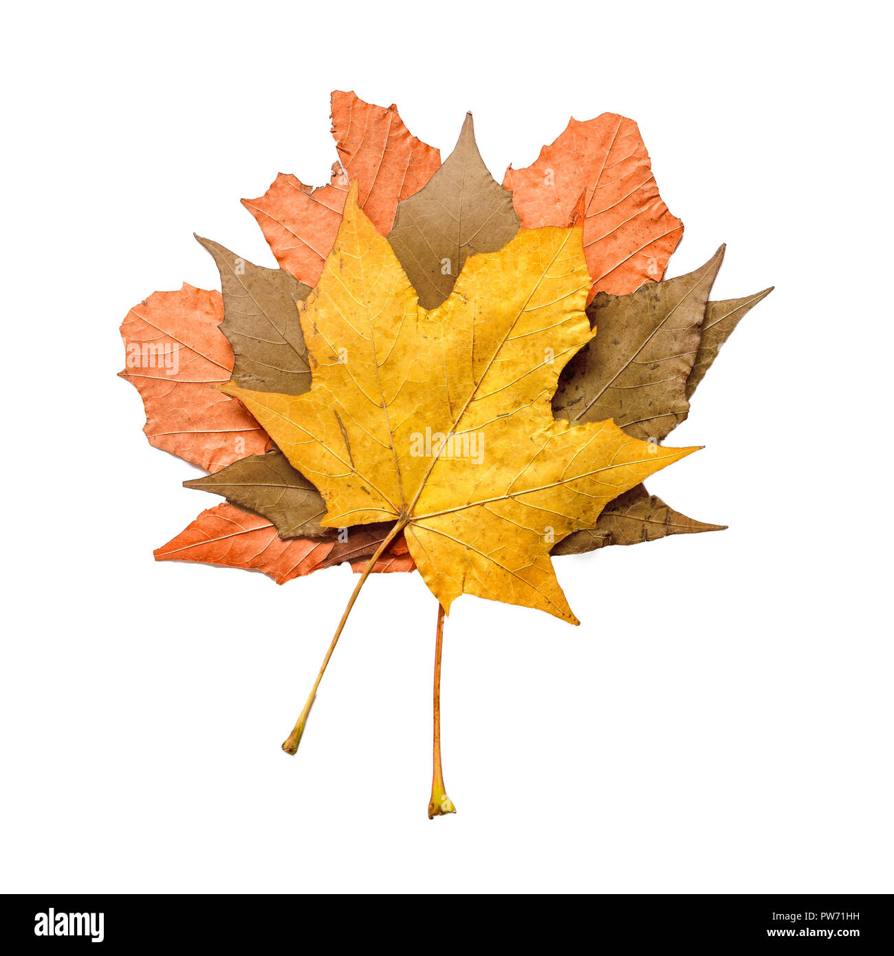 Autumn Leaves Stack on Top of Each Other Stock Photo