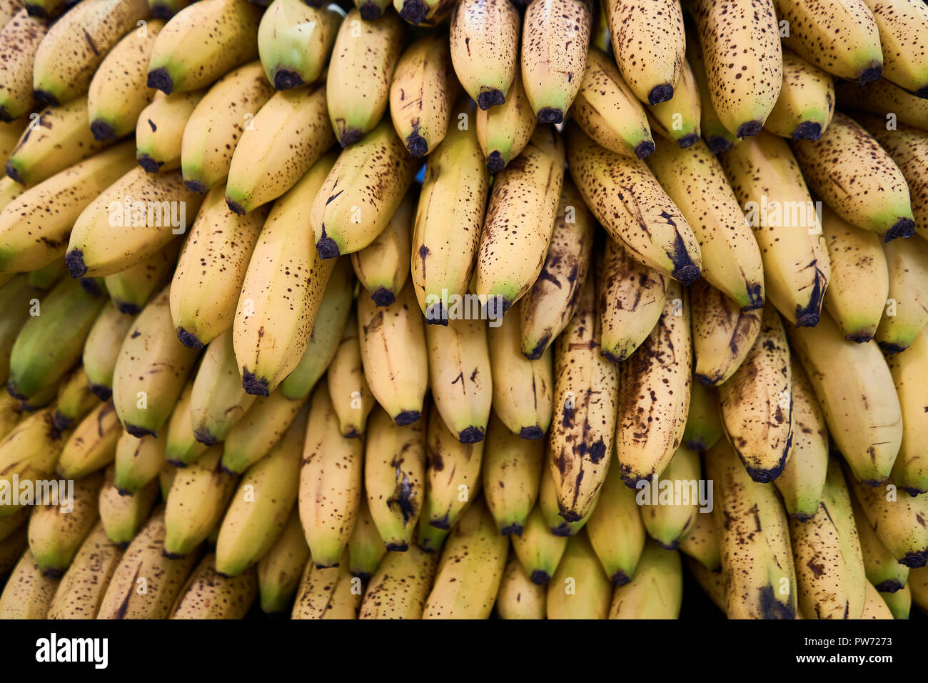 group of bananas Stock Photo Alamy