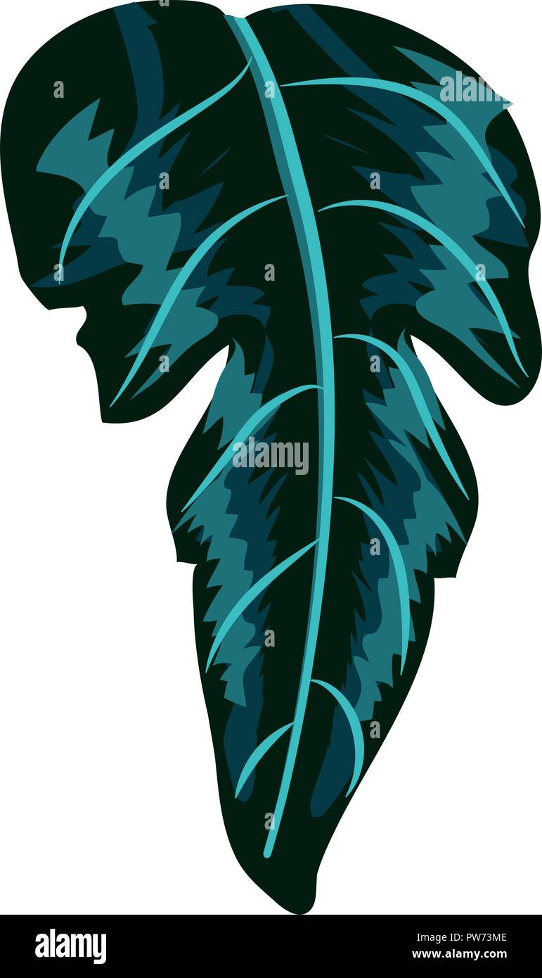 Tropical leaf plant Stock Vector Image & Art - Alamy