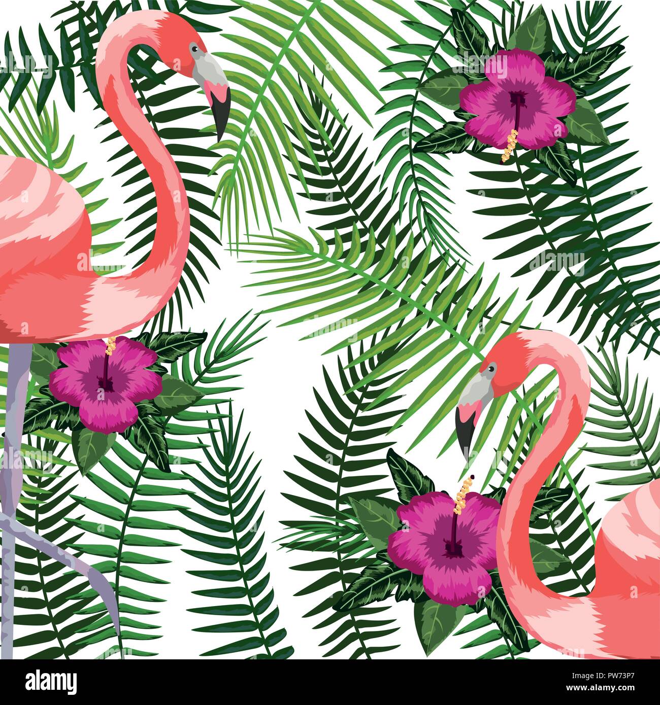 Exotic bird and tropical leaves background Stock Vector Image & Art - Alamy