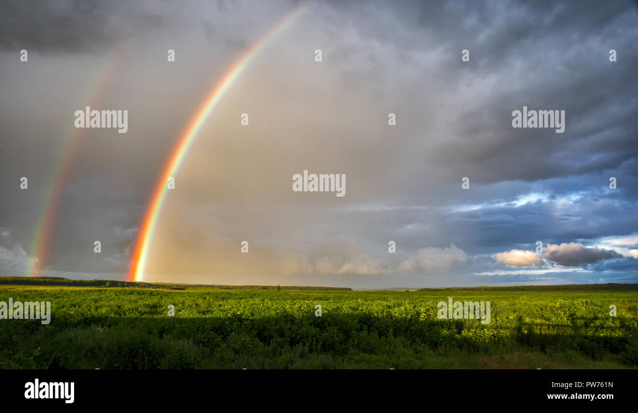 Bright rainbow after the rain over the field Stock Photo Alamy