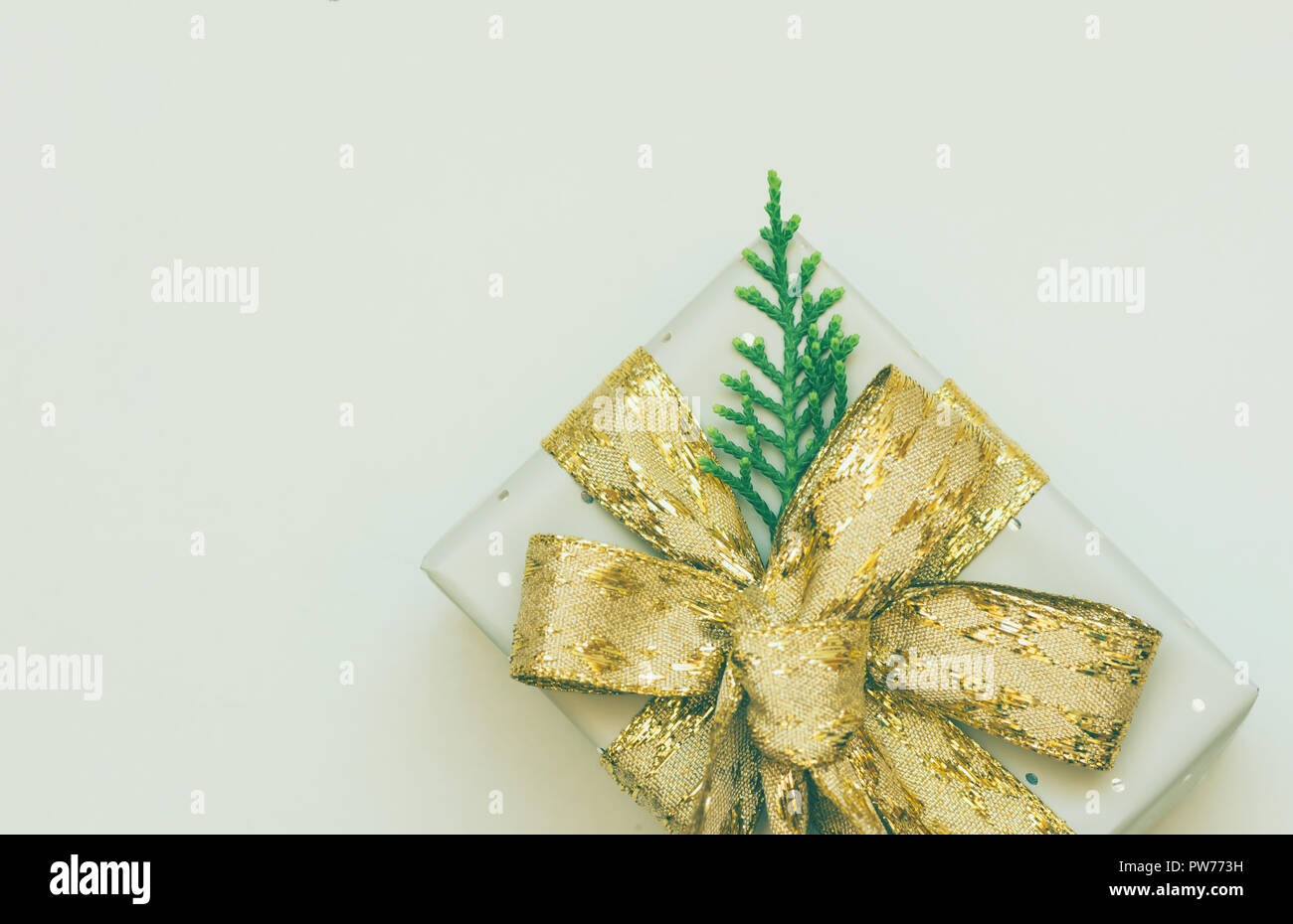 Elegant Gift Box Wrapped in Grey Silver Paper with Polka Dots Golden Ribbon Bow Juniper Twig. Christmas New Years Presents Shopping Sale. White Backgr Stock Photo