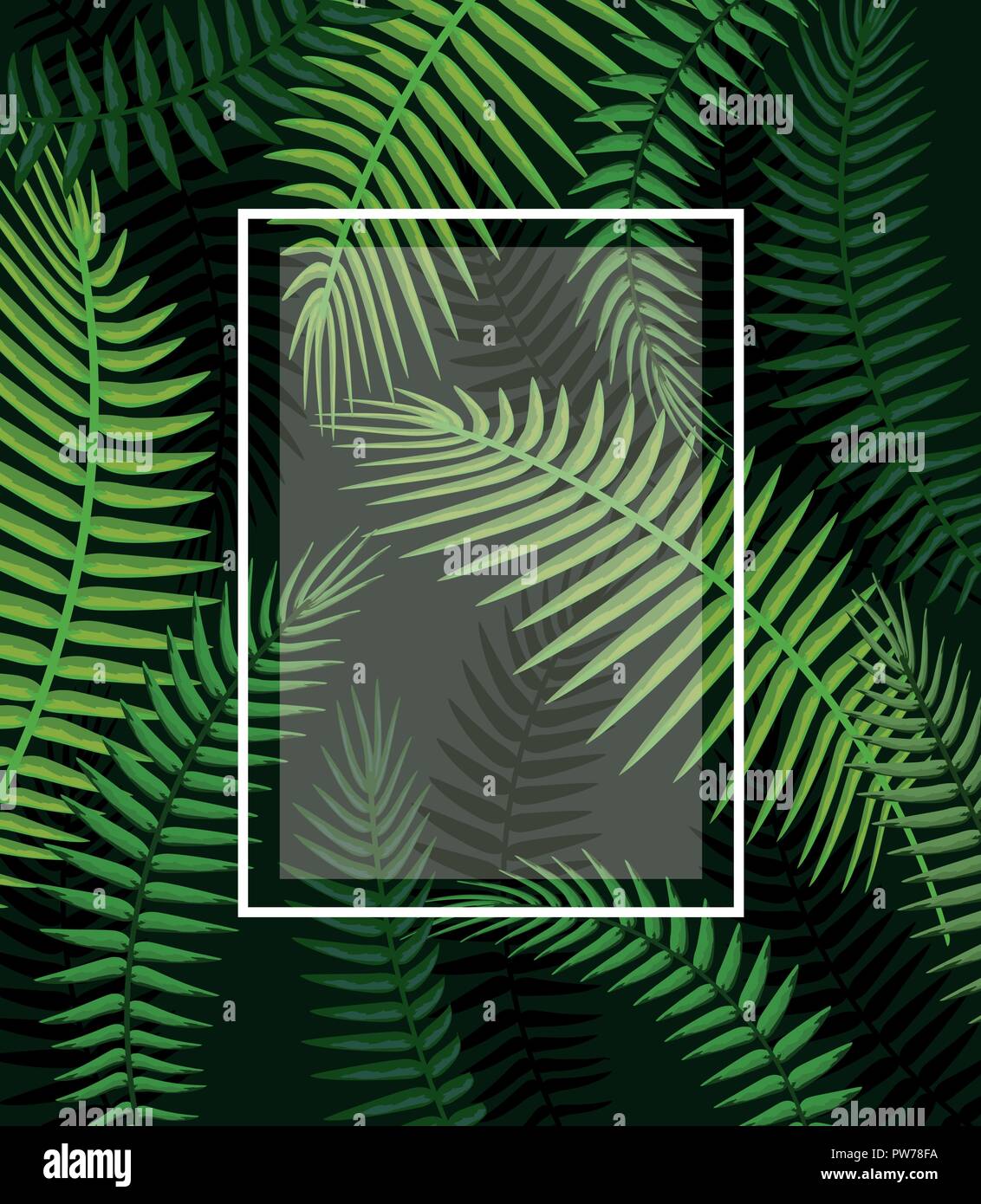 square frame with branches leaves background Stock Vector Image & Art ...