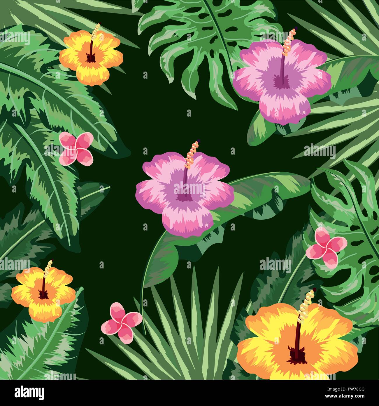 tropical flowers and leaves plants background Stock Vector Image & Art ...