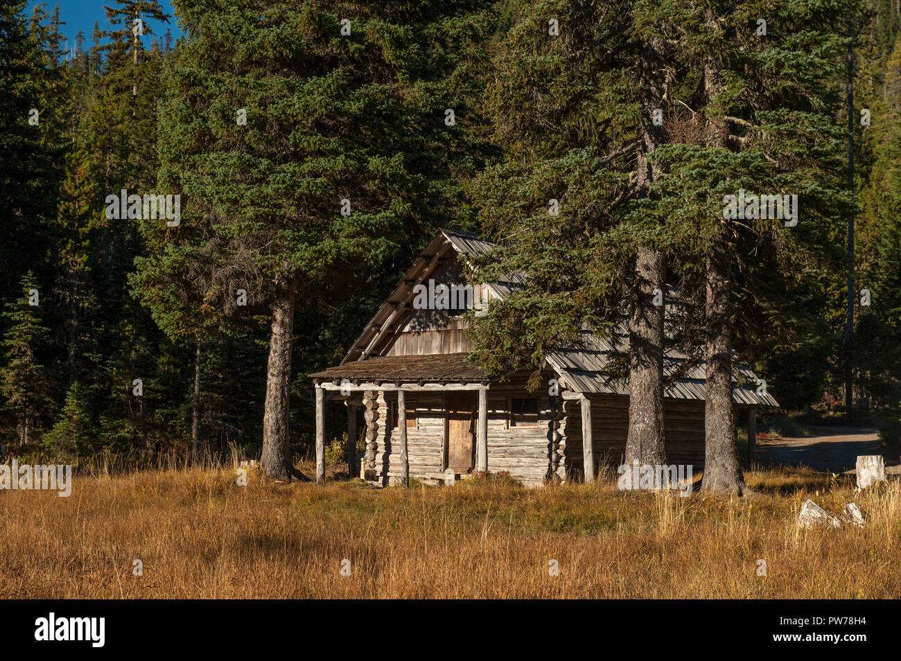 The Historic Cabin Built In 1910 At Olallie Meadows Campground