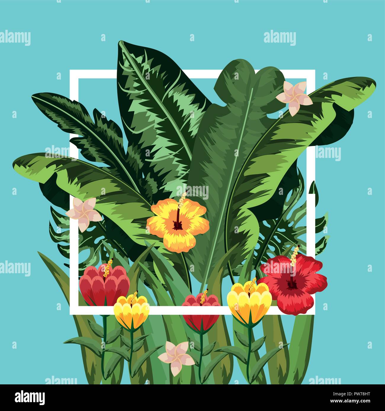 square freme with flowers and leaves plants Stock Vector Image & Art ...