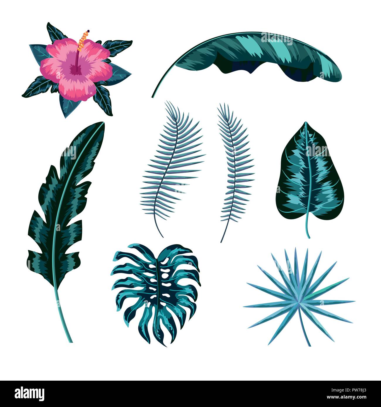 set natural flower and tropical leaves Stock Vector Image & Art - Alamy