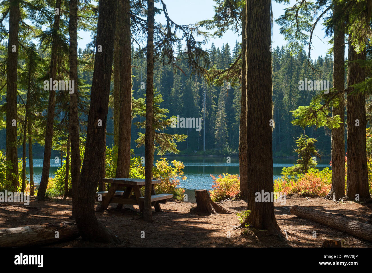 One of the camp sites at Hideaway Lake, in Oregon's Mt. Hood National Forest. Stock Photo