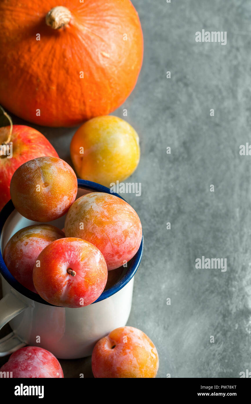 Colorful multicolored freshly picked plums Mirabelles red yellow green in enamel mug. Apples pumpkin on black grey stone background. Thanksgiving autu Stock Photo