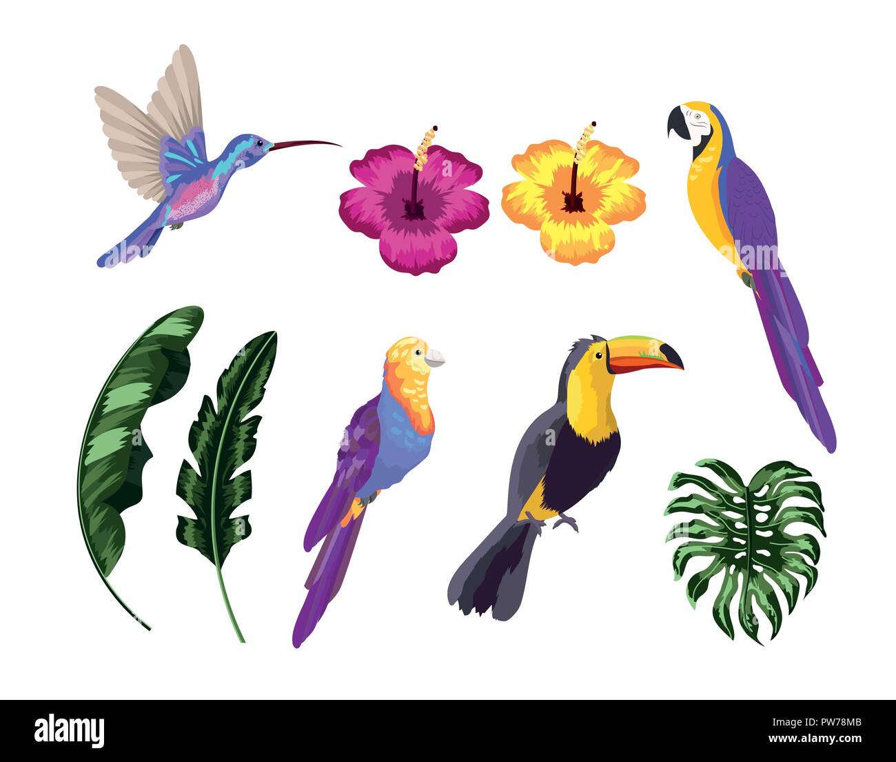 set exotic birds with natural leaves Stock Vector Image & Art - Alamy