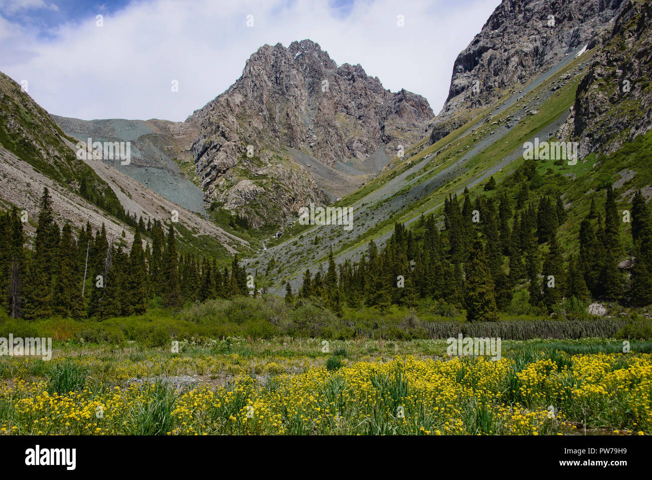 Beautiful view in the Tian Shan Mountains, Karakol, Kyrgyzstan Stock Photo  - Alamy, image size:1300x957