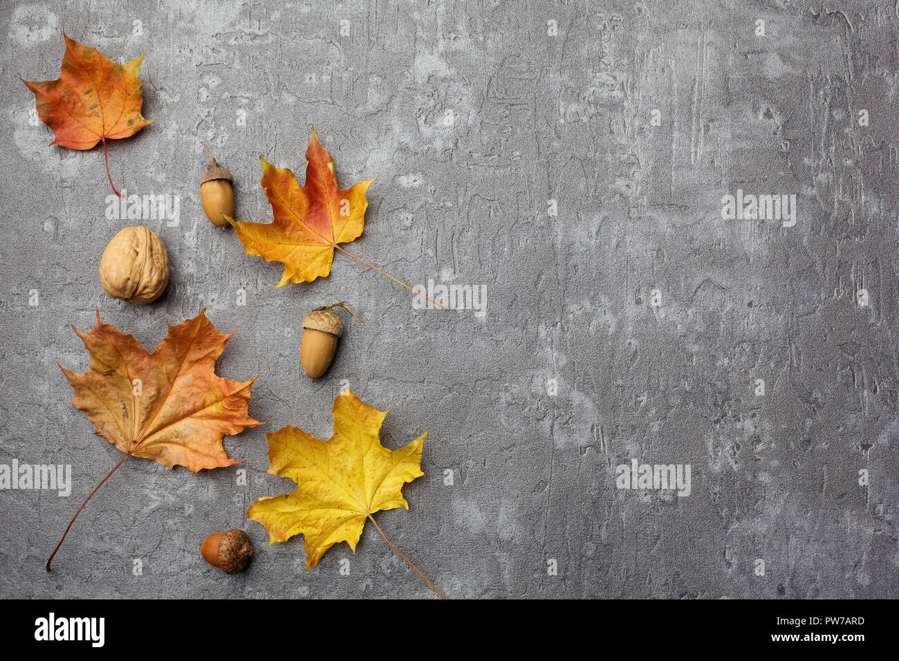 Fall Leaves on grey background. Trendy Stylish Concept. Flat lay, top ...