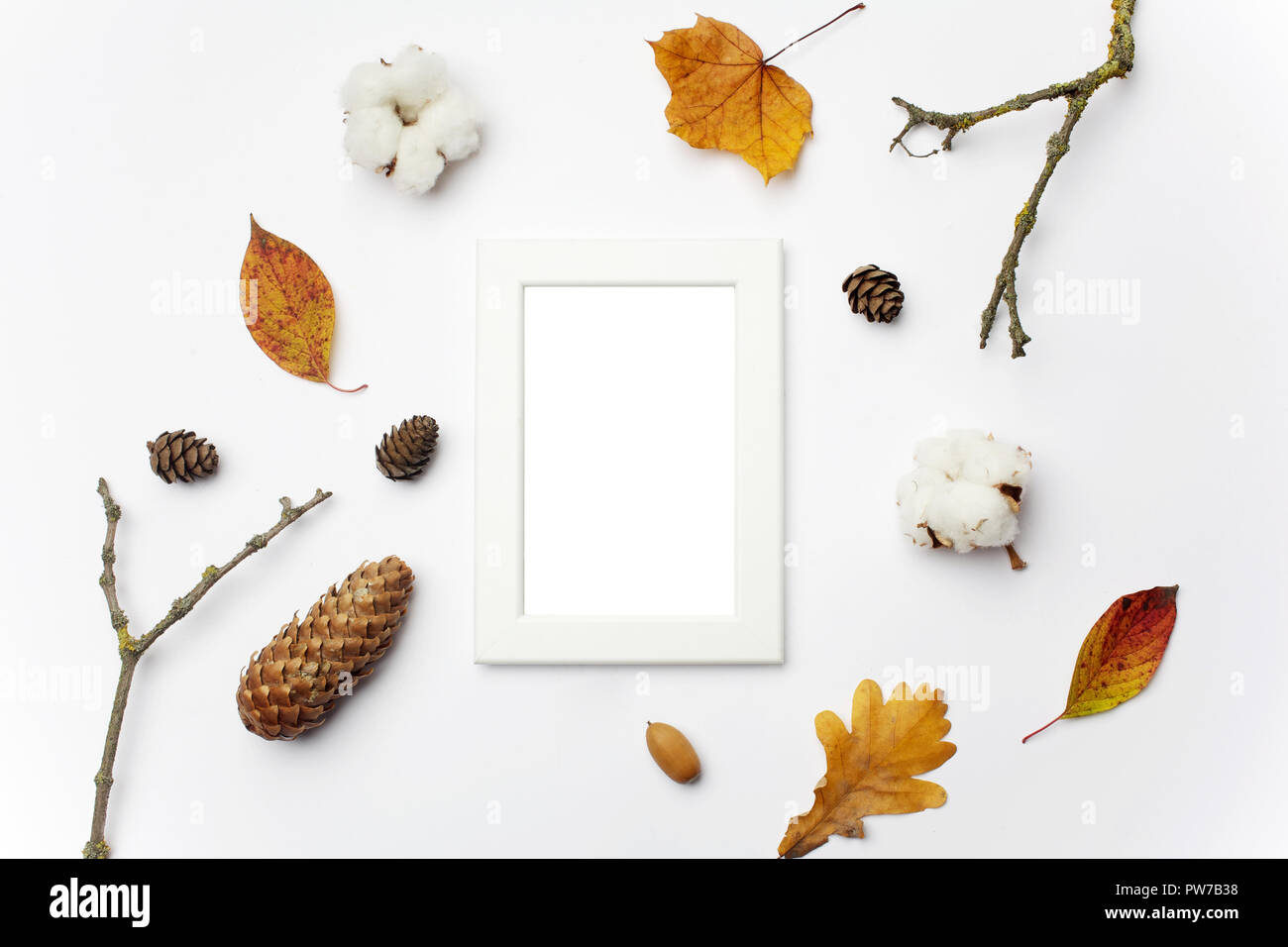 Autumn Photo frame, dried flowers and leaves on white background. Flat ...